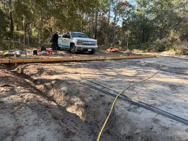 pest solutions and why they matter